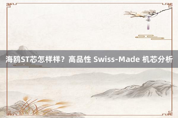 海鸥ST芯怎样样？高品性 Swiss-Made 机芯分析