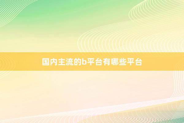国内主流的b平台有哪些平台