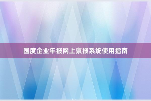 国度企业年报网上禀报系统使用指南