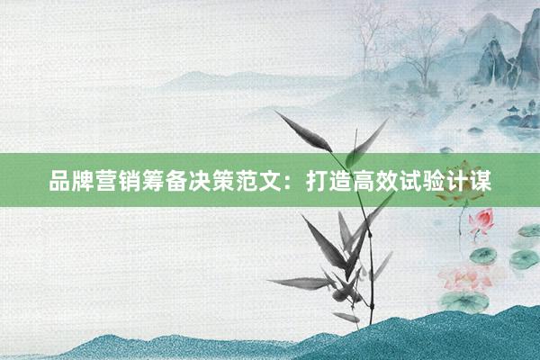 品牌营销筹备决策范文：打造高效试验计谋