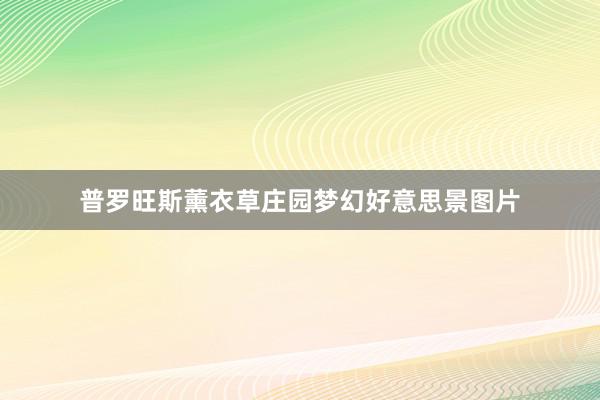 普罗旺斯薰衣草庄园梦幻好意思景图片