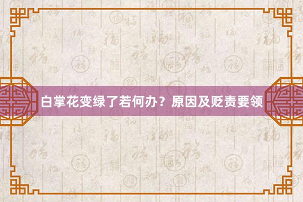 白掌花变绿了若何办？原因及贬责要领